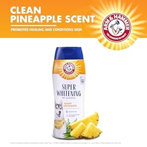 Arm & Hammer for Pets Brightening Dog Shampoo, 20oz Sweet Pineapple Scent | Professional Quality Dog Whitening Shampoo, Free of Sodium Lauryl Sulfate & Parabens | Arm & Hammer Dog Shampoos