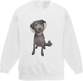 Azeeda 'Dog Wearing Cone' Kid's Sweatshirt/Jumper (7-8 Years) (KW00107253)