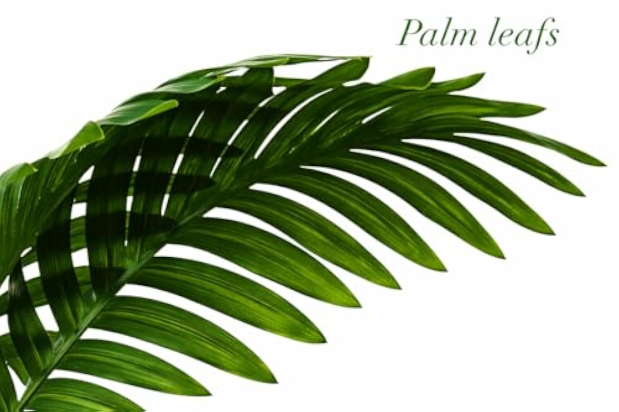 Ryme Artificial Palm Plant with Pot for Indoor Decor