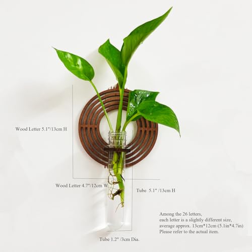 50% Off 4-Pack Letter Wall Propagation Planters for Hanging Plants