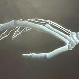 N.E.W Music