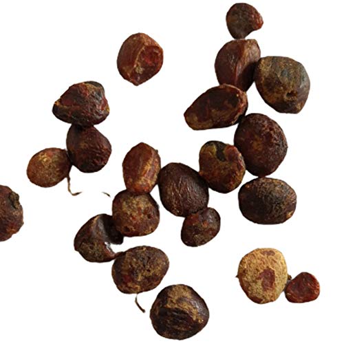 50 Unids/Bolsa Semillas De Adelfa Semillas De Nerium Sin OMG De Alta Germinación De Color Mezclado De Hoja Perenne Natural Para Plantas De Invernadero Semillas de adelfa Nerium Cover