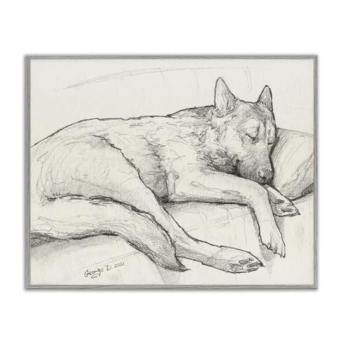 Curled Dog Graphite Pencil Drawing, 11 x 14 Inch Framed Giclée Print
