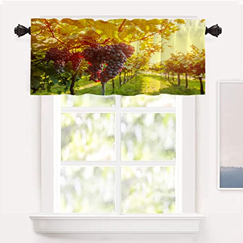 Shrahala Wine Country California Kitchen Valances Half Window Curtain, Sangiovese Grapes In Vineyard Kitchen Valance For Window Ink Printing Kitchen Valances Curtains For Kitchen Decor 52X18 Inch #TOP19