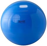 Gymnic LP9565 Gymnik 65 Blue Made in Italy