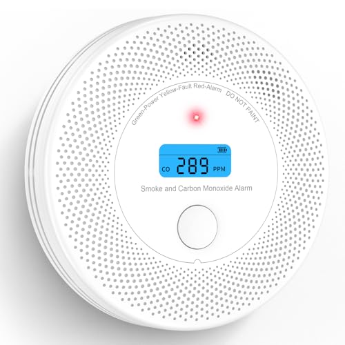 2-in-1 Smoke & CO Detector with Voice Alert