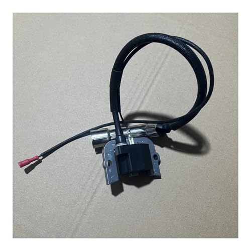Bobine d'allumage 196F pour réparer un moteur thermique 13000 qui ne démarre plus