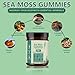 FW ZONE Sea Moss Gummies 16-in-1 with Black Seed Oil, Ashwagandha, 30 Servings, Irish Seamoss Gummies Boosts Immune Support, Wellness and Digestion
