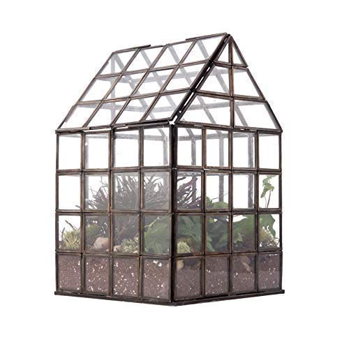 Urban Born Grid Greenhouse Large Glass Terrarium — 12" X 8" X 8" (Black Steel) #TOP4