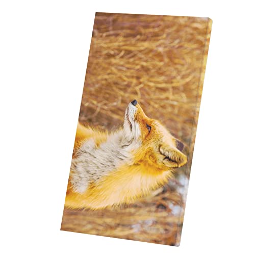 Tableau déco toile imprimée renard nature de 60x107 cm pour salon