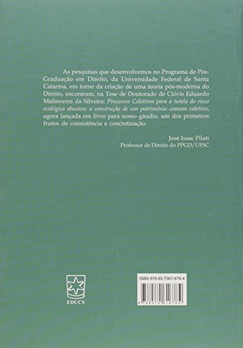 Risco Ecológico Abusivo: a Tutela do Patrimônio Ambiental nos Processos Coletivos em Face do Risco S
