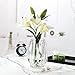 Lucky Bird Crystal Clear Glass Vase - Modern Ribbed Design for Flowers, Candles, and Decorative Accents - Tall/Short Sizes (Clear, H7.87inch)