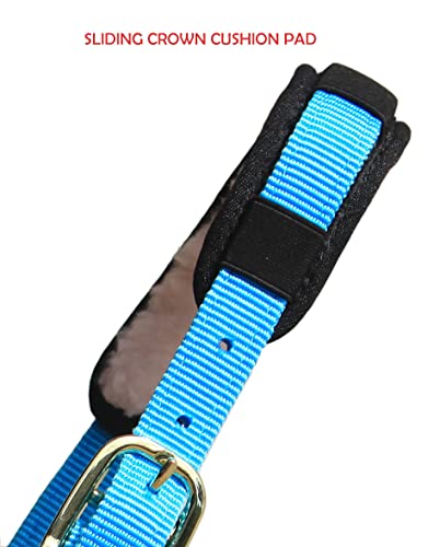 T TEKE Lunge Cavesson com faixa de nariz forrada com lã e coroa