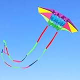 Beach Kites for Adults Large with Long Tail, 98 inches Super Easy Flyer 3D Rainbow Box Kites, Come with 49 Feet Multi Colors Tails x 2, 300 ft Kite String & Handle (Rainbow)