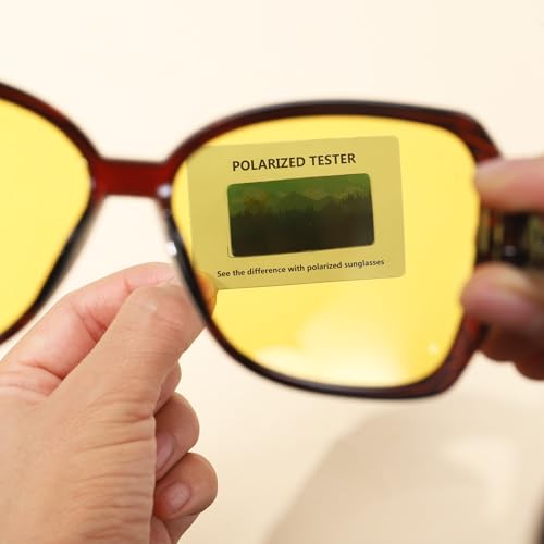 Image of DragonflyDreams Women Large Sunglasses, UV 400 Glasses