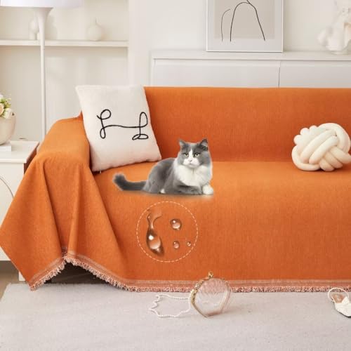 YKFN }`Jo[ \t@[Jo[ hJo[ \t@[ 3l| Jo[  邾 \t@Jo[ It IȂ 唻 k  tWt \t@[xbhJo[ L΍ ~ \t@[ی n uPbg LYh~ 