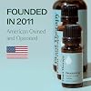 Plant Therapy Deodorizing Essential Oil Blend, 10 mL (1/3 oz), Pure Essential Oils, Undiluted, Therapeutic Grade, Ideal for Household Cleaning & Deodorizing