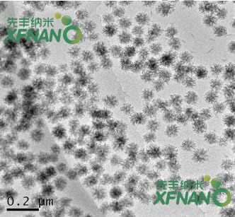 Research Grade Monodisperse Mesoporous Silica Nanosphere Stellate MSN-1 Gram