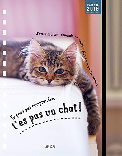 Tu peux pas comprendre t'es pas un chat - agenda Tu peux pas comprendre t'es pas un chat - agenda