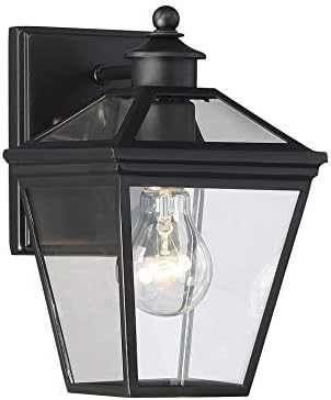 Savoy House 5-140-BK Ellijay Modern Rustic Clear Glass Outdoor Wall Lantern, 1-Light 60 Watt, 10" H x 6" W, Black