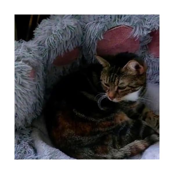 Katzenbett mit Pfotenabdruck (M 55X55 cm, Grau_Weiss) – Bild 5