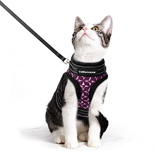 CatRomance Escape-Proof Kitten Harness and Leash Set