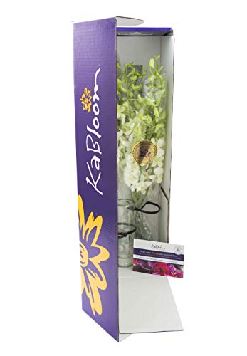 Image of KaBloom-10 White Orchid Bouquet,Flowers for Valentine, Mother's Day