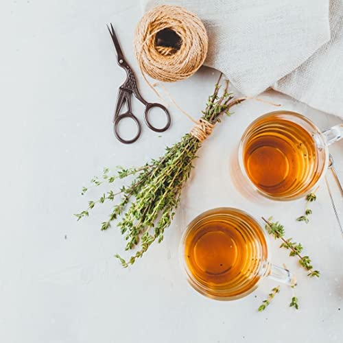 FITNÉ Kräutertee Original, (20 x 2GR)