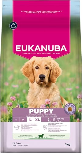 Eukanuba, alimento seco para Cachorros con Cordero y arroz para Razas Grandes, alimento seco Premium para Perros Junior, 3 kg