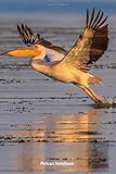  Pelican Notebook: Cool Pelican notebook - Travel Journal to write in - 120 pages - 6\