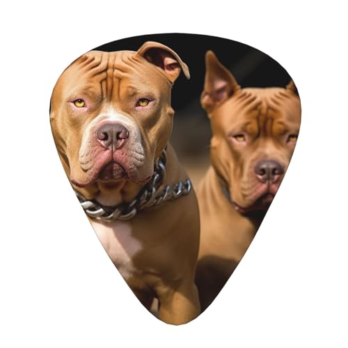 Médiators de guitare résistants Pitbull Dogs contre l'usure prématurée