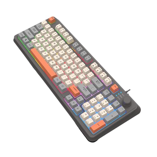 FANSHINUO Kabelgebundene Gaming-Tastatur für PC...