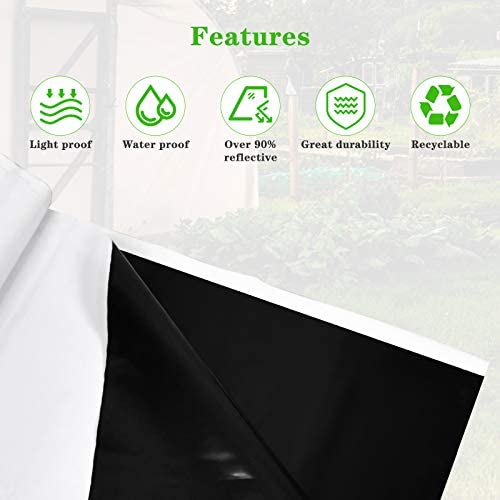 Ipower 10 X 10 Ft Black And White Panda Hydroponics Poly 5.5 Mil Silver Reflective Mylar-Film, Waterproof Plastic, Garden Greenhouse, 10 X 10Ft, Covering Foil Sheets, Diy Grow Rooms #TOP1
