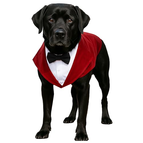 Image of Buraq Premium Dog Wedding Suit, Elegant Tuxedo with Bow Tie & Bandana, Comfortable, Washable Outfit for Dogs (XXL - Red)