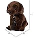 Teddys Rothenburg Kuscheltier Labrador mit Leine 30cm mit Schwanz Plüschhund Stoffhund