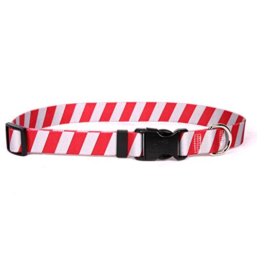 Image of Yellow Dog Design Team Spirit Scarlet and Gray Dog Collar-Size X-Small-3 /8 Wide and fits Neck 8 to 12 inch