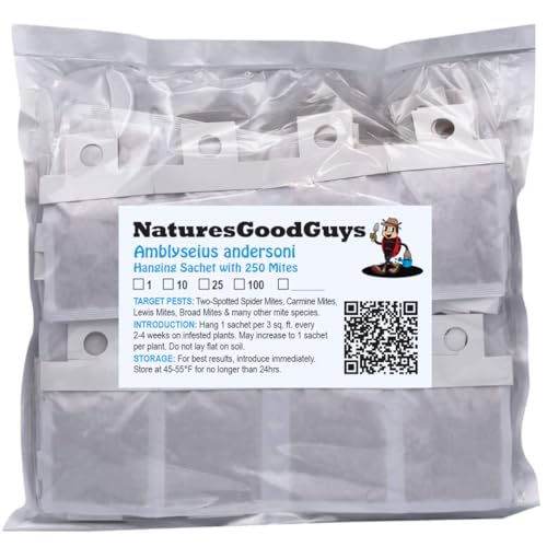 Amblyseius andersoni (25,000 in Hanging Sachets)