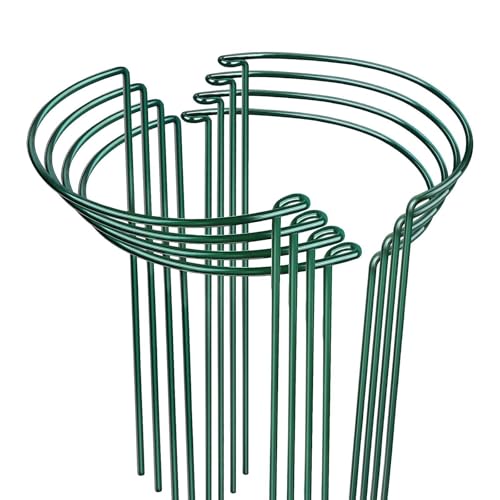 Ziociura 8̐AxXe[N ~` ΐF  K[fp Â߂̍Y, 25cm×40cm