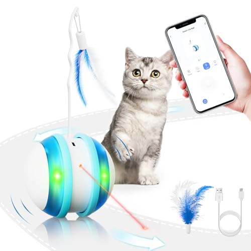 Elektrisch Kattenspeeltje | Automatische Loopband Activiteiten