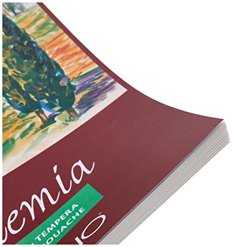 Fabriano Accademi Dess carta da disegno A3 29,7 x