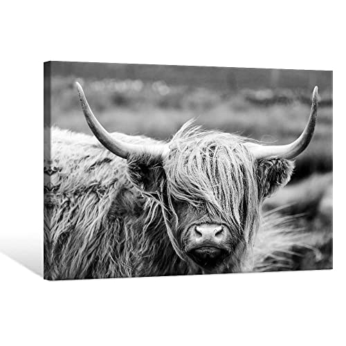SEVEN WALL ARTS Highland Cow Photography Wildlife Portrait Picture Black and White Closeup Animal Print Scottish Highland Cattle Framed Farmhouse Artwork for Living Room Bedroom Office Decor 36'x24'