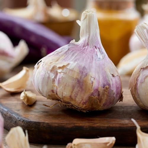 Plantation d'ail (500 g), oignon de légumes légèrement épicé, bul...