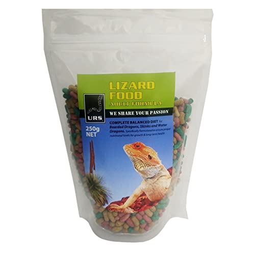 lizard food
