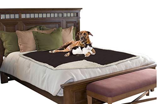 8 Best Dog Couch Covers For Dogs In 2019 Treehousepuppies