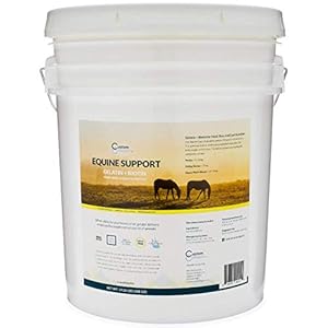 Custom Collagen Equine Joint Support Gelatin Plus Biotin Supplement for Horses – 20 lb Pail – Grain Free