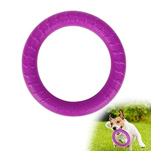 Valicaer PYJ-Dog Fitness Ring Dysk dla Psa