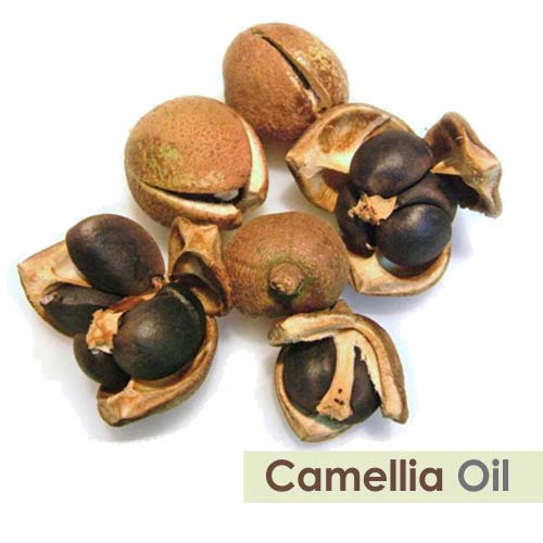 Image of Salvia Camellia (Camellia Oliefera) Oil 100% Pure & Natural Undiluted Essential Oil - 250ml