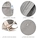 M-ioi-M Small Fashion Backpack Purse for Women, Chic Daypack with Stylish Gold-Tone Hardware, Minimalist Lightweight Water-Resistant Nylon Travel Bag, Casual Rucksack for Everyday Use (Gray Beige)