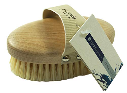 Hydréa London Professional FSC Certified Beechwood Dry Skin Body Brush with Cactus Bristles
