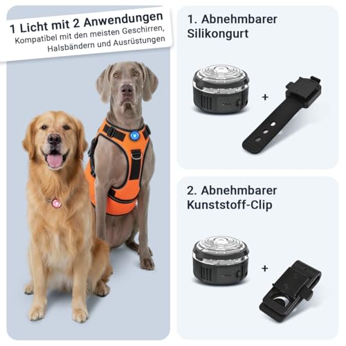 PAJ Light MINI 2X stark leuchtende Mini LEDs für Halsbänder und Geschirre kleine+mittlere Hunde & Katzen anpassbare Anbringung 100% Wasserfest 7 Farben Sichtbarkeit & Sicherheit bei Nacht-4